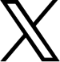 X (Twitter)